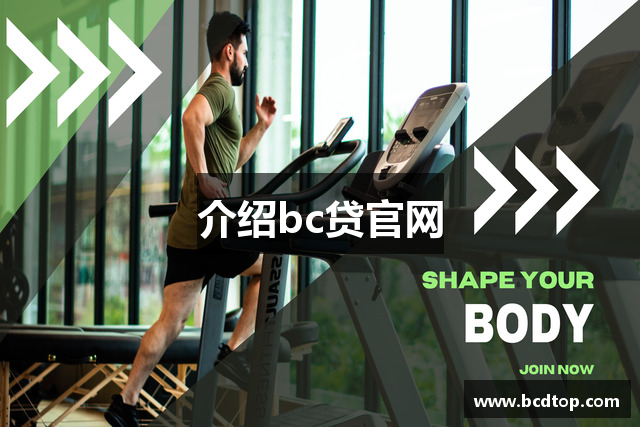 介绍bc贷官网